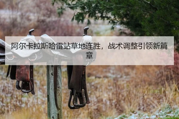 a-er-ka-la-si-ha-lei-zhan-cao-di-lian-sheng-zhan-shu-tiao-zheng-yin-ling-xin-pian-zhang-2-872.jpg